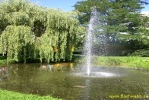 PICT3628.jpg