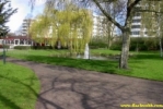 Pict0274.jpg