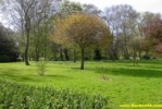 Pict0275.jpg