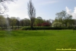 Pict0278.jpg