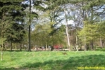 Pict0281.jpg