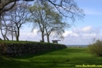 Pict0294.jpg