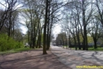 Pict0313.jpg