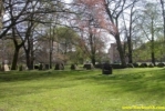 Pict0315.jpg
