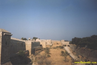 9242.jpg