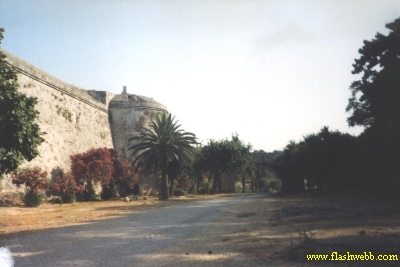 9246.jpg