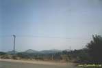 9237.jpg