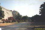 9246.jpg