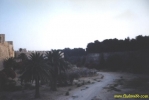 925.jpg