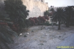 928.jpg