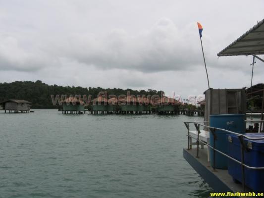 IMG_3279.jpg