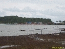 IMG_3143.jpg
