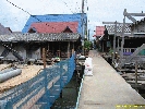 IMG_3146.jpg