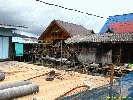 IMG_3147.jpg