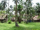 IMG_3578.jpg