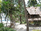 IMG_3579.jpg