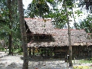 IMG_3580.jpg