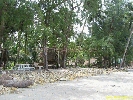 IMG_3582.jpg