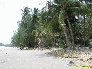 IMG_3583.jpg