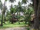 IMG_3584.jpg