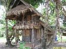 IMG_3585.jpg