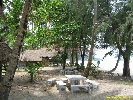 IMG_3586.jpg