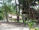 IMG_3587.jpg