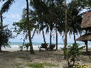 IMG_3588.jpg