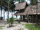 IMG_3589.jpg