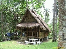 IMG_3590.jpg
