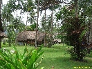 IMG_3591.jpg