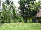 IMG_3592.jpg