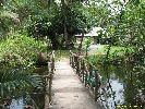 IMG_3593.jpg
