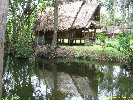 IMG_3594.jpg