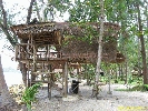 IMG_3595.jpg
