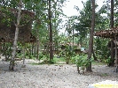 IMG_3596.jpg