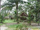 IMG_3597.jpg