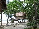 IMG_3598.jpg