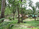 IMG_3600.jpg