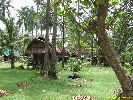 IMG_3601.jpg
