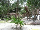 IMG_3602.jpg