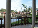 IMG_3041.jpg