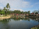 IMG_3046.jpg