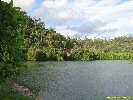 IMG_3050.jpg