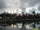 IMG_3241.jpg