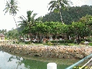 IMG_3303.jpg