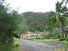 IMG_3521.jpg