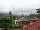 IMG_3523.jpg