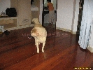 IMG_3526.jpg