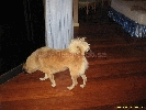 IMG_3527.jpg